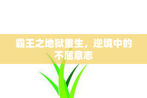 霸王之地狱重生，逆境中的不屈意志
