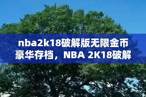 nba2k18破解版无限金币豪华存档，NBA 2K18破解版，游戏乐趣与版权尊重的平衡
