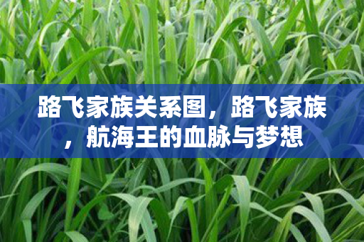路飞家族关系图，路飞家族，航海王的血脉与梦想