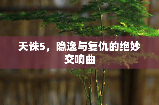 天诛5，隐逸与复仇的绝妙交响曲
