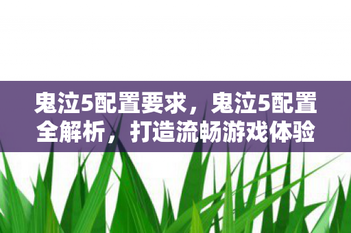 鬼泣5配置全解析图片