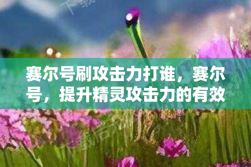 赛尔号刷攻击力打谁,赛尔号,提升精灵攻击力的有效策略 赛尔号刷攻击力打谁,赛尔号,提升精灵攻击力的有效策略