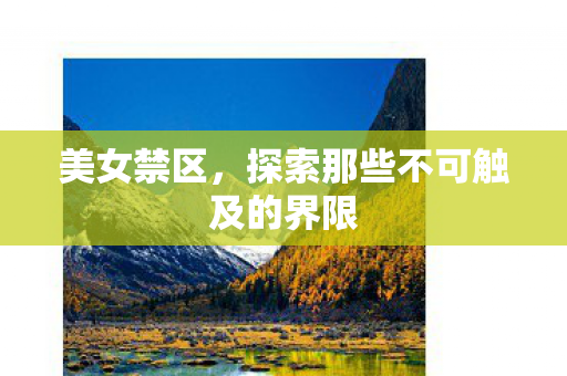 美女禁区，探索那些不可触及的界限