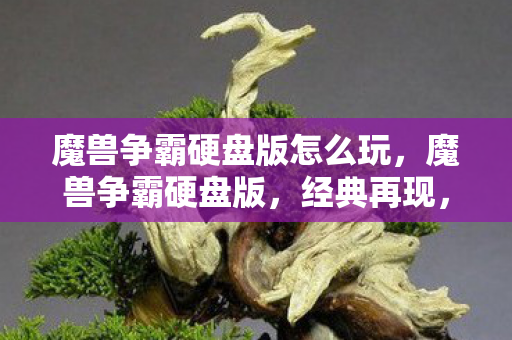 魔兽争霸硬盘版怎么玩，魔兽争霸硬盘版，经典再现，情怀依旧