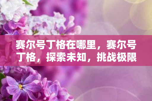 赛尔号丁格在哪里，赛尔号丁格，探索未知，挑战极限的精灵之旅