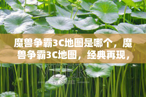 魔兽争霸3C地图是哪个，魔兽争霸3C地图，经典再现，策略与激情的碰撞