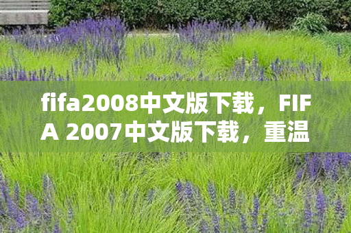 fifa2008中文版下载，FIFA 2007中文版下载，重温经典，重温足球激情