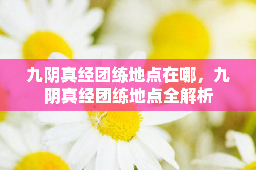 九阴真经团练地点在哪,九阴真经团练地点全解析 九阴真经团练地点在哪,九阴真经团练地点全解析