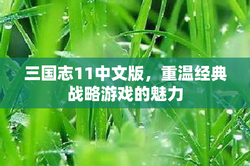 三国志11中文版，重温经典战略游戏的魅力