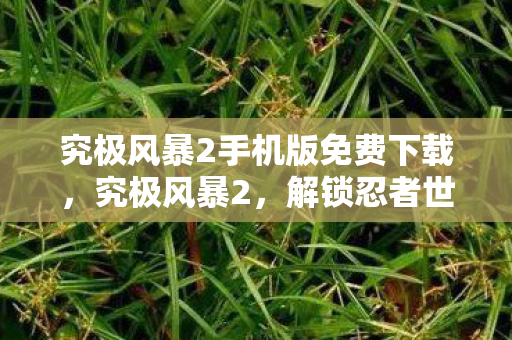 究极风暴2手机版免费下载，究极风暴2，解锁忍者世界的无限可能