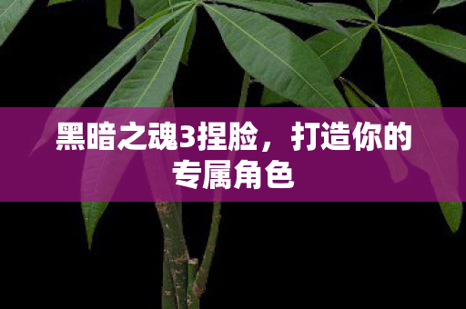 黑暗之魂3捏脸，打造你的专属角色