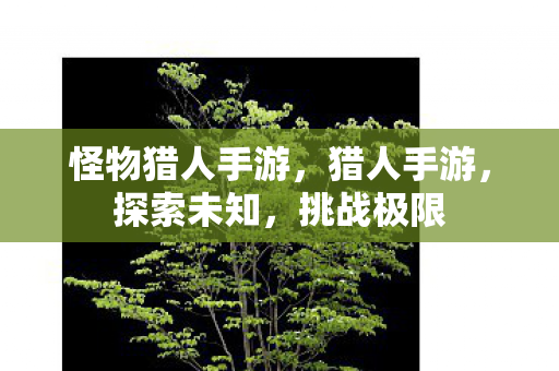 怪物猎人手游，猎人手游，探索未知，挑战极限