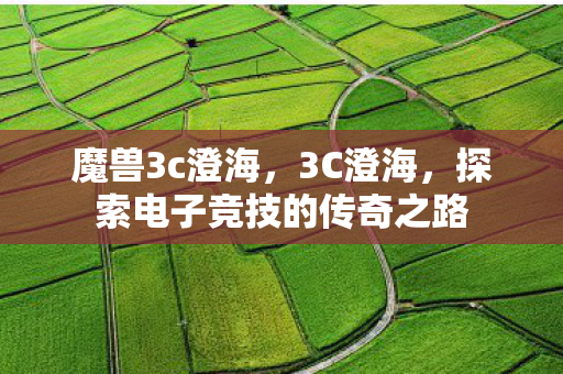 魔兽3c澄海，3C澄海，探索电子竞技的传奇之路