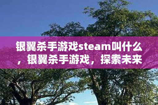 银翼杀手游戏steam叫什么,银翼杀手游戏,探索未来世界的科幻冒险 银翼杀手游戏steam叫什么,银翼杀手游戏,探索未来世界的科幻冒险