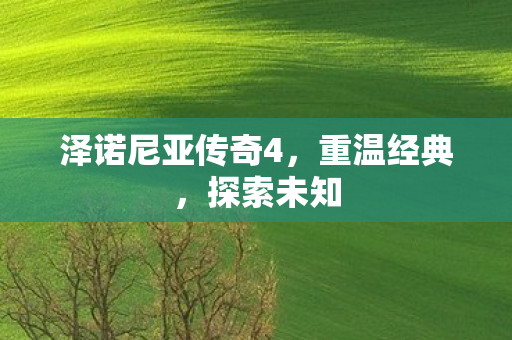泽诺尼亚传奇4,重温经典,探索未知 泽诺尼亚传奇4,重温经典,探索未知