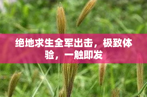 绝地求生全军出击，极致体验，一触即发