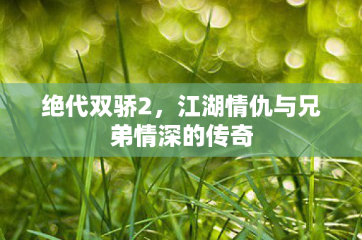 绝代双骄2，江湖情仇与兄弟情深的传奇