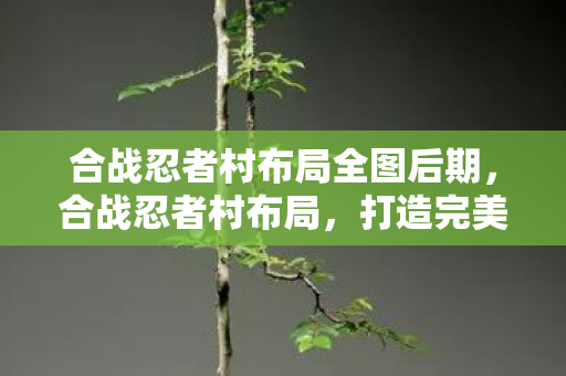 合战忍者村布局全图后期，合战忍者村布局，打造完美防御与进攻的村落