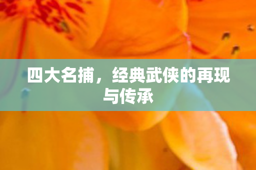 四大名捕，经典武侠的再现与传承