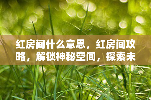 红房间什么意思,红房间攻略,解锁神秘空间,探索未知领域 红房间什么意思,红房间攻略,解锁神秘空间,探索未知领域