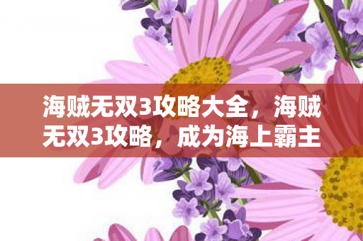 海贼无双3攻略大全，海贼无双3攻略，成为海上霸主的必备指南