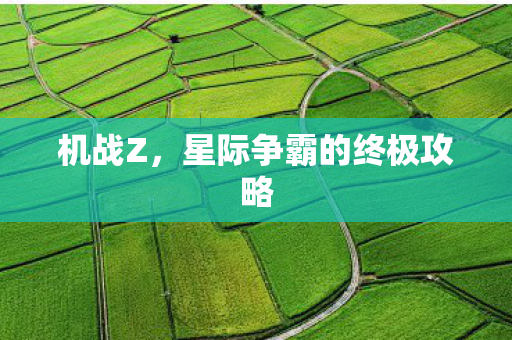 机战Z，星际争霸的终极攻略