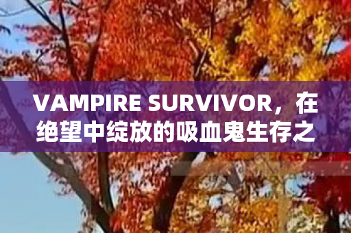 VAMPIRE SURVIVOR，在绝望中绽放的吸血鬼生存之旅
