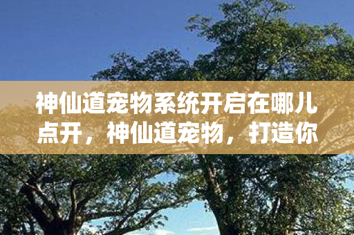 神仙道宠物系统开启在哪儿点开，神仙道宠物，打造你的专属萌宠