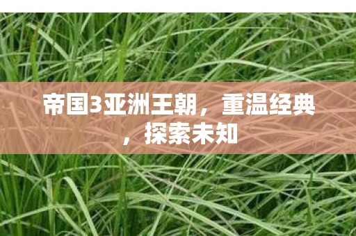 帝国3亚洲王朝，重温经典，探索未知