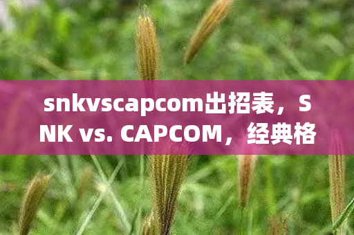 snkvscapcom出招表，SNK vs. CAPCOM，经典格斗游戏的碰撞与融合