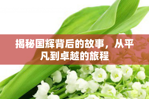 揭秘国辉背后的故事，从平凡到卓越的旅程