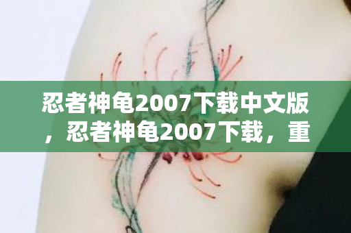 忍者神龟2007下载中文版，忍者神龟2007下载，重温经典，重温童年