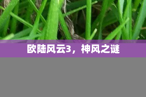 欧陆风云3，神风之谜