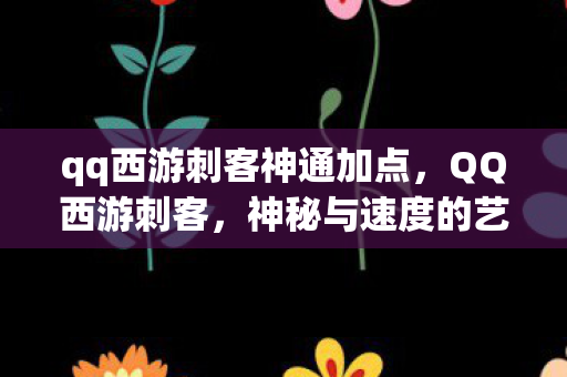 qq西游刺客神通加点，QQ西游刺客，神秘与速度的艺术