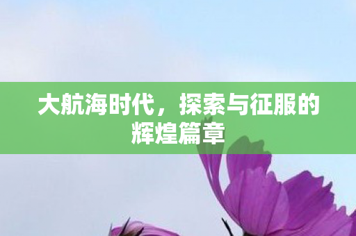 大航海时代，探索与征服的辉煌篇章
