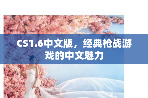 CS1.6中文版，经典枪战游戏的中文魅力
