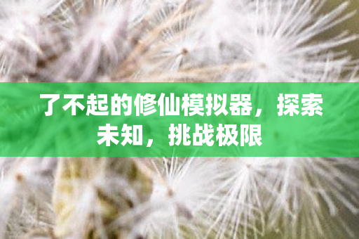 了不起的修仙模拟器图片