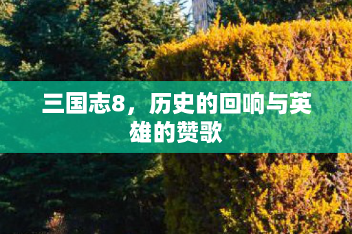 三国志8，历史的回响与英雄的赞歌