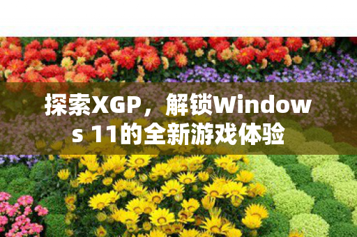 探索XGP，解锁Windows 11的全新游戏体验