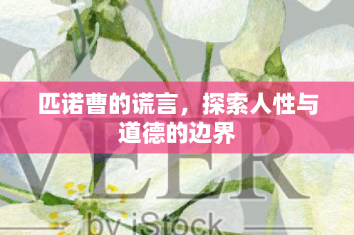 匹诺曹的谎言，探索人性与道德的边界