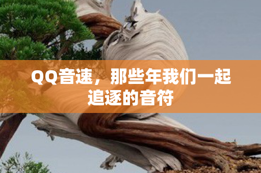 那些年我们一起追逐的音符图片