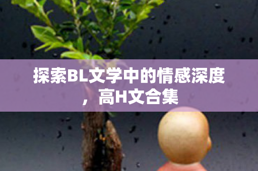 探索BL文学中的情感深度,高H文合集 探索BL文学中的情感深度,高H文合集