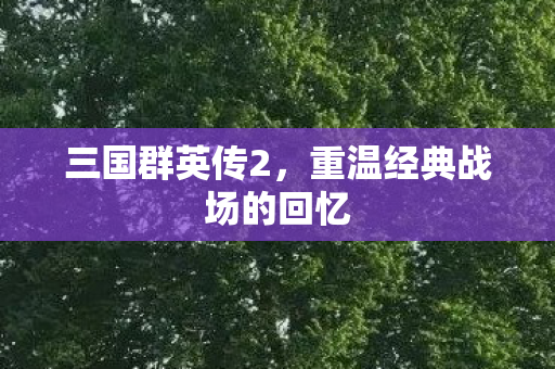 重温经典战场的回忆图片