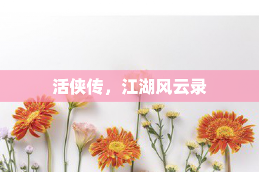 活侠传，江湖风云录