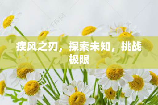 疾风之刃，探索未知，挑战极限