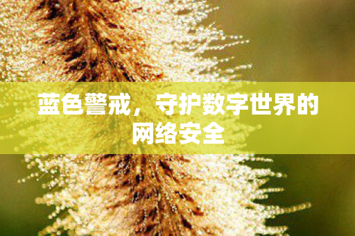 蓝色警戒，守护数字世界的网络安全