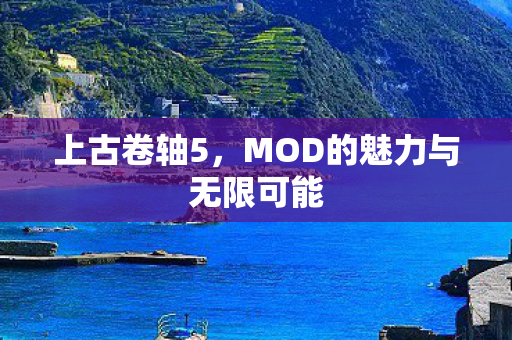 MOD的魅力与无限可能图片