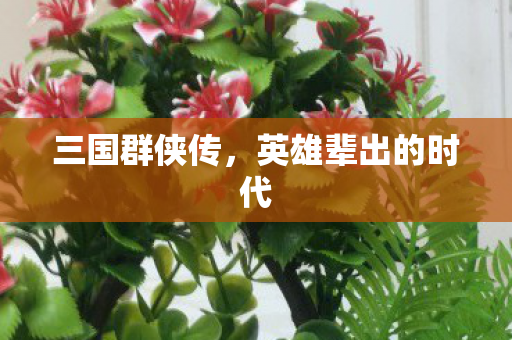 三国群侠传，英雄辈出的时代