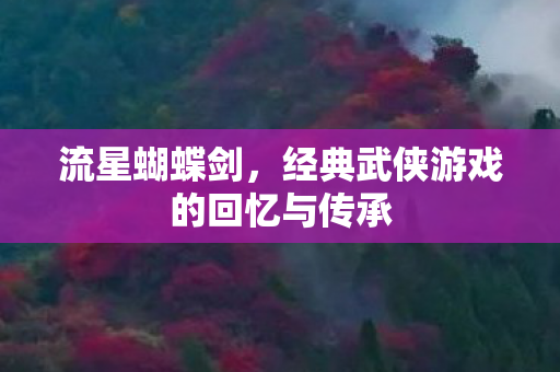 流星蝴蝶剑，经典武侠游戏的回忆与传承