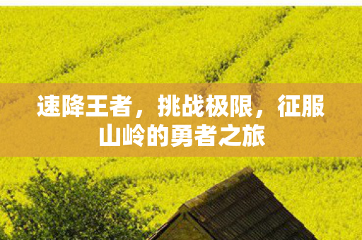 速降王者，挑战极限，征服山岭的勇者之旅